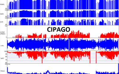 2004 – Pathologies respiratoires du sommeil et rôle du chirurgien-dentiste dans l’équipe interdisciplinaire